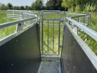 0.5m, 18" Swing Gate