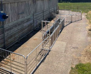FETF70 - Fixed Sheep Handling System