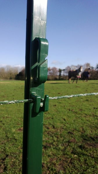 Equine Plastic Post